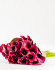 Raspberry Pink Calla Lily