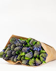 Ultra Marine Blue Hyacinths