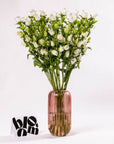 White Campanula
