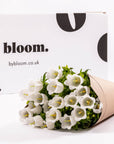 White Campanula