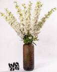 Porcelain White Delphinium