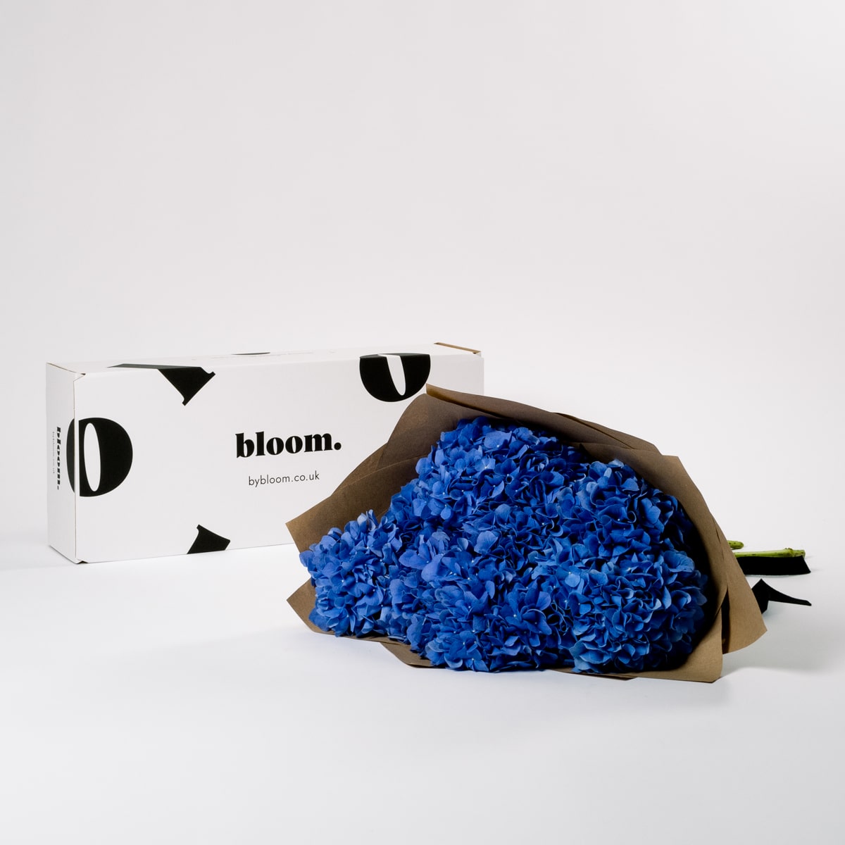 Ultra Marine Blue Hydrangea