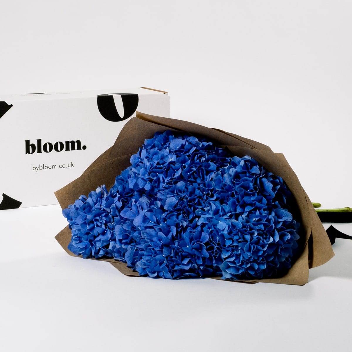 Ultra Marine Blue Hydrangea