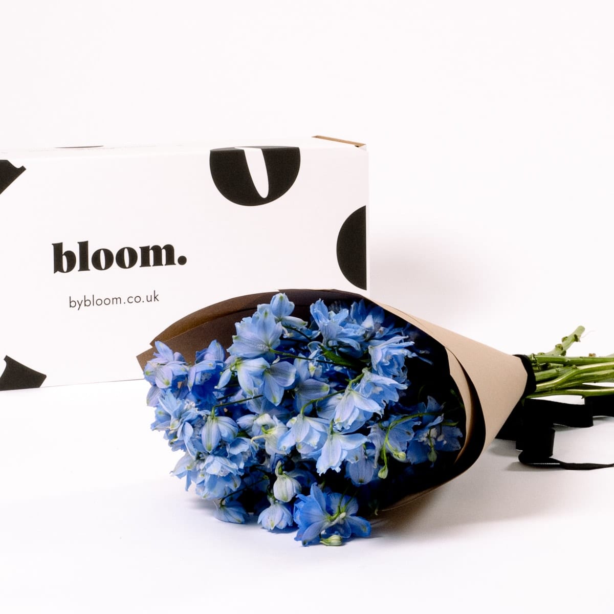 Glacier Blue Delphinium