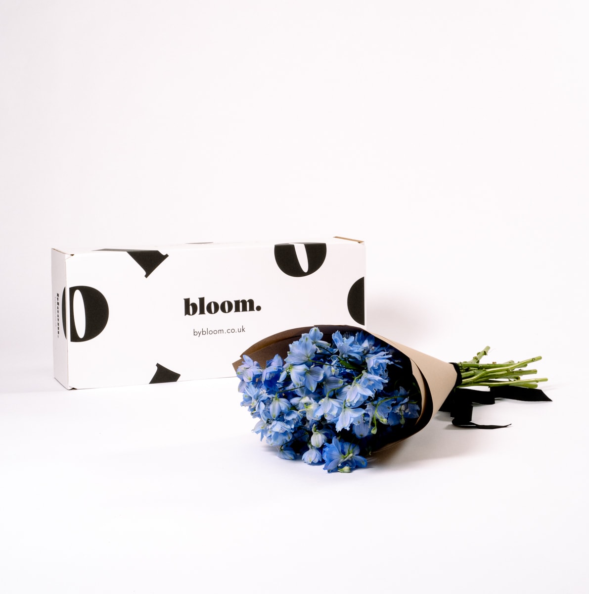 Glacier Blue Delphinium