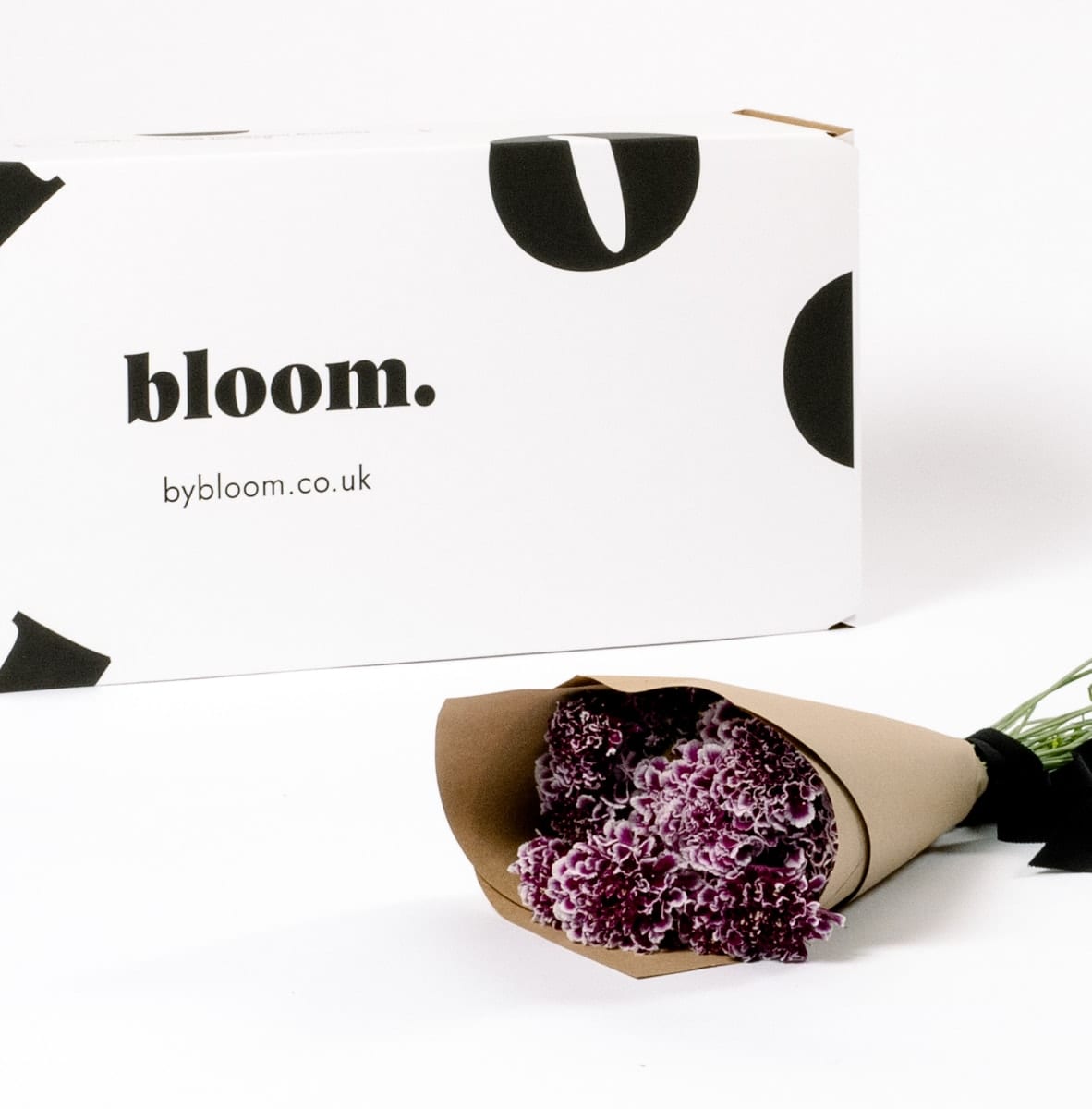 Amethyst Purple Scabiosa