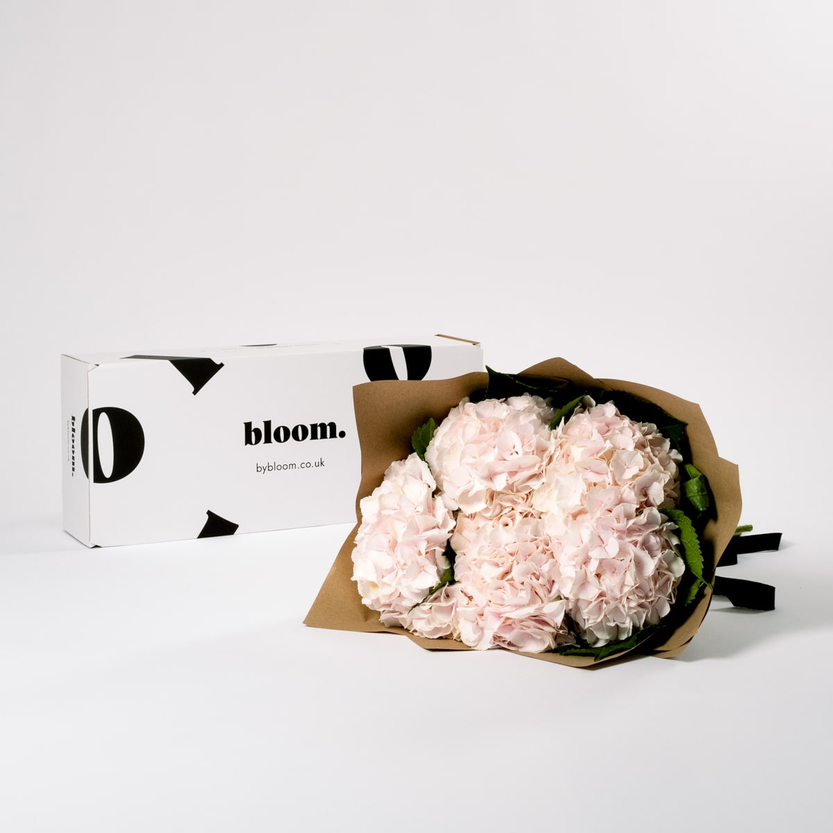 Ballet Slipper Pink Hydrangea