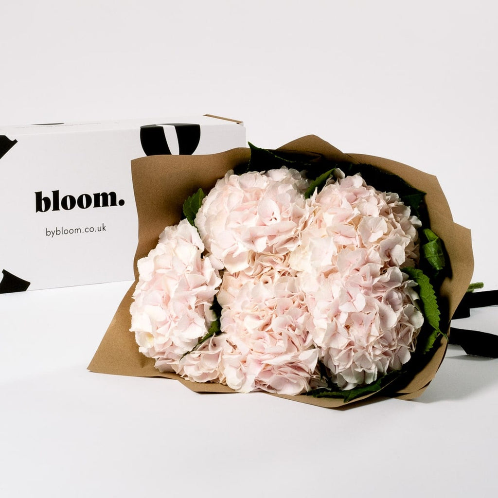 Ballet Slipper Pink Hydrangea
£45.00