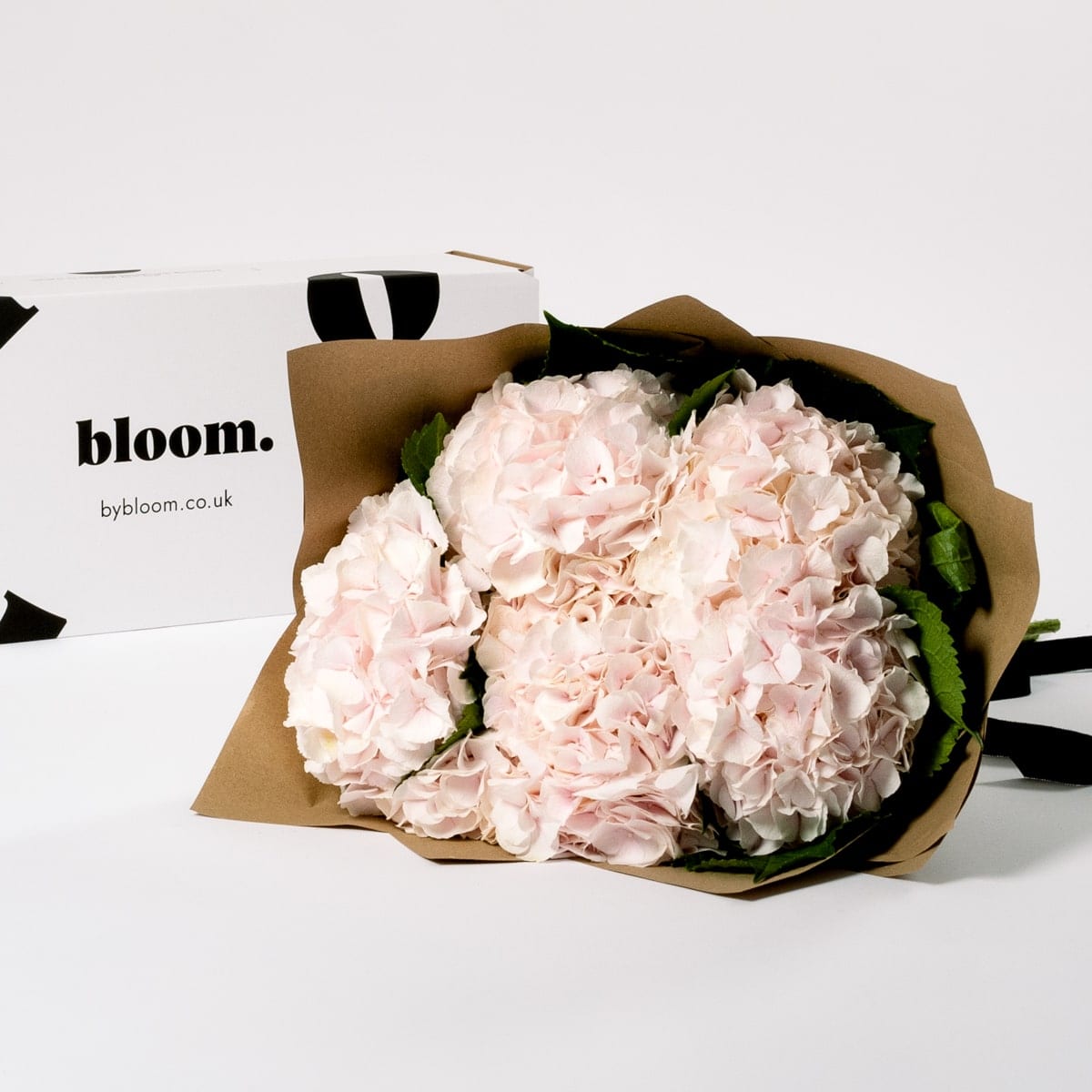 Ballet Slipper Pink Hydrangea