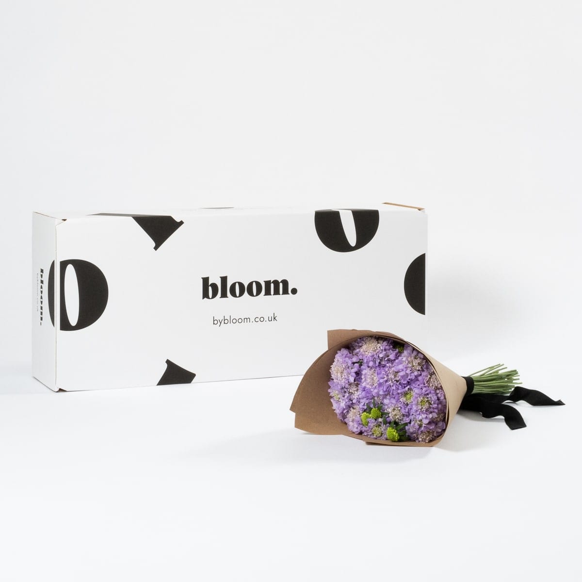 Lavender Purple Scabiosa