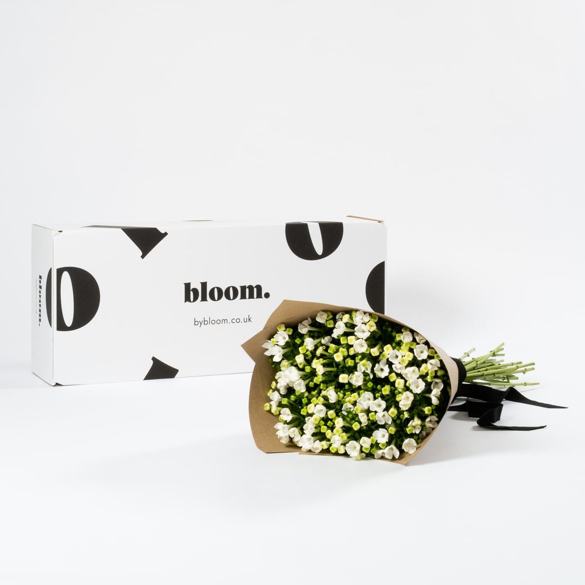 Porcelain White Bouvardia