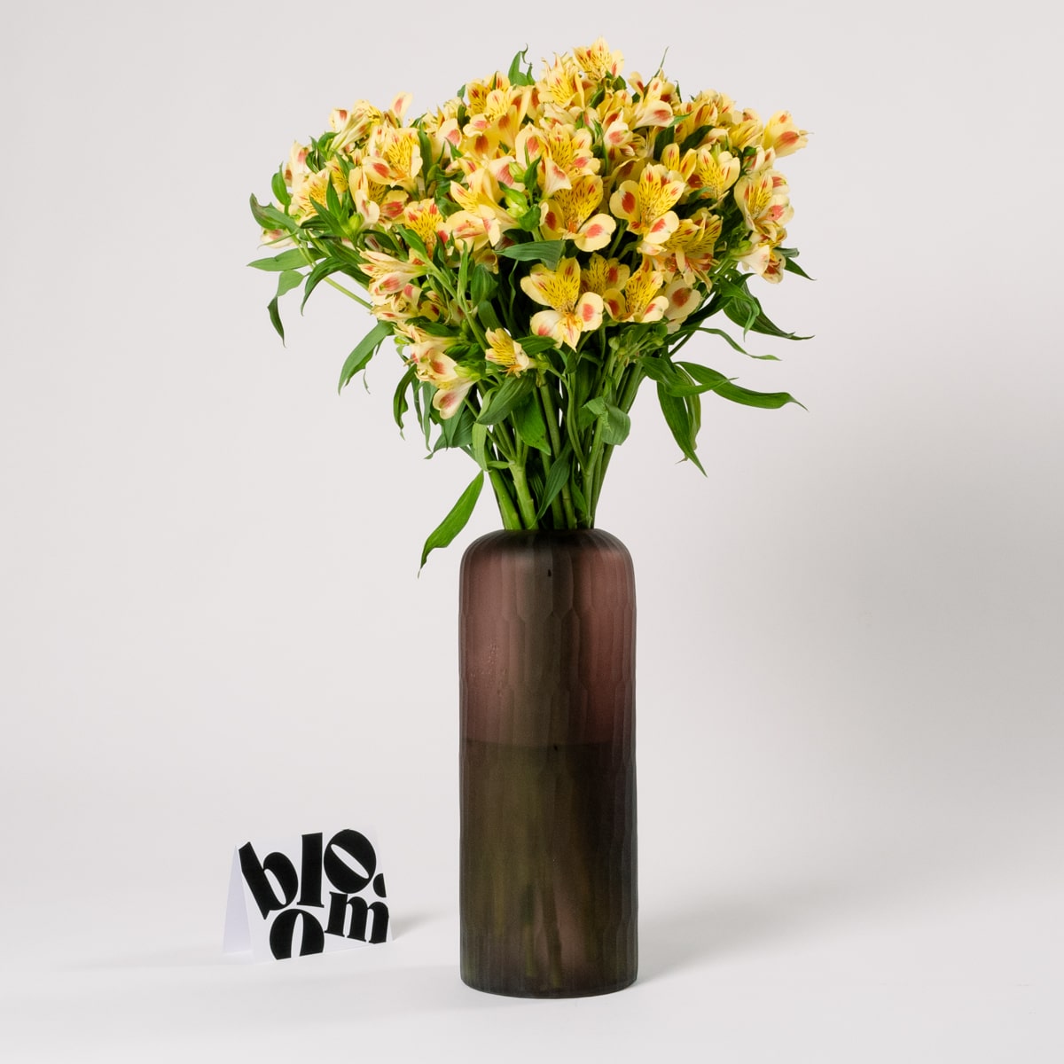 Sunshine Yellow Alstroemeria