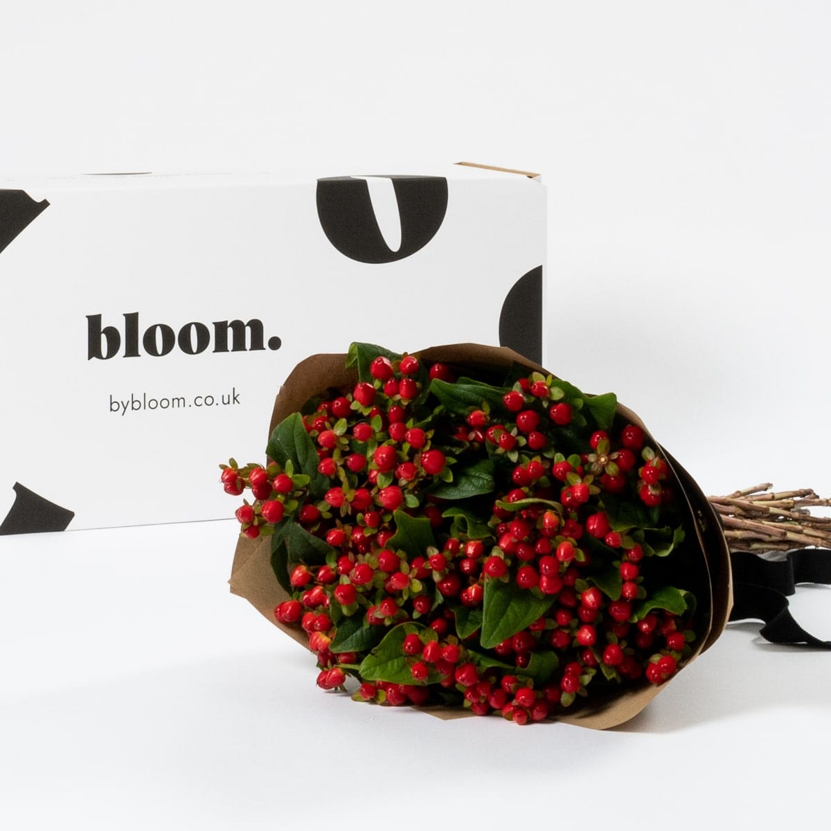 Royal Red Hypericum
