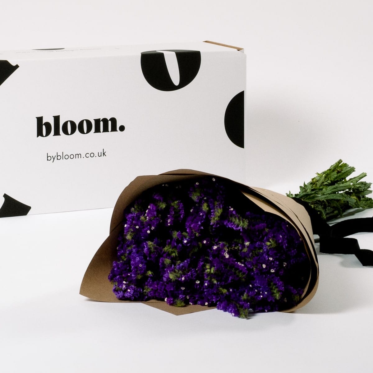 Amethyst Purple Limonium
