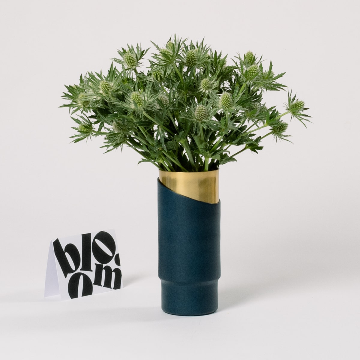 Green Star Thistle