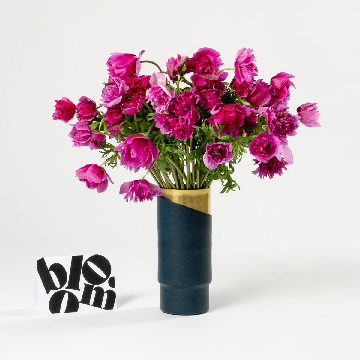 Cerise Pink Full Star Anemones