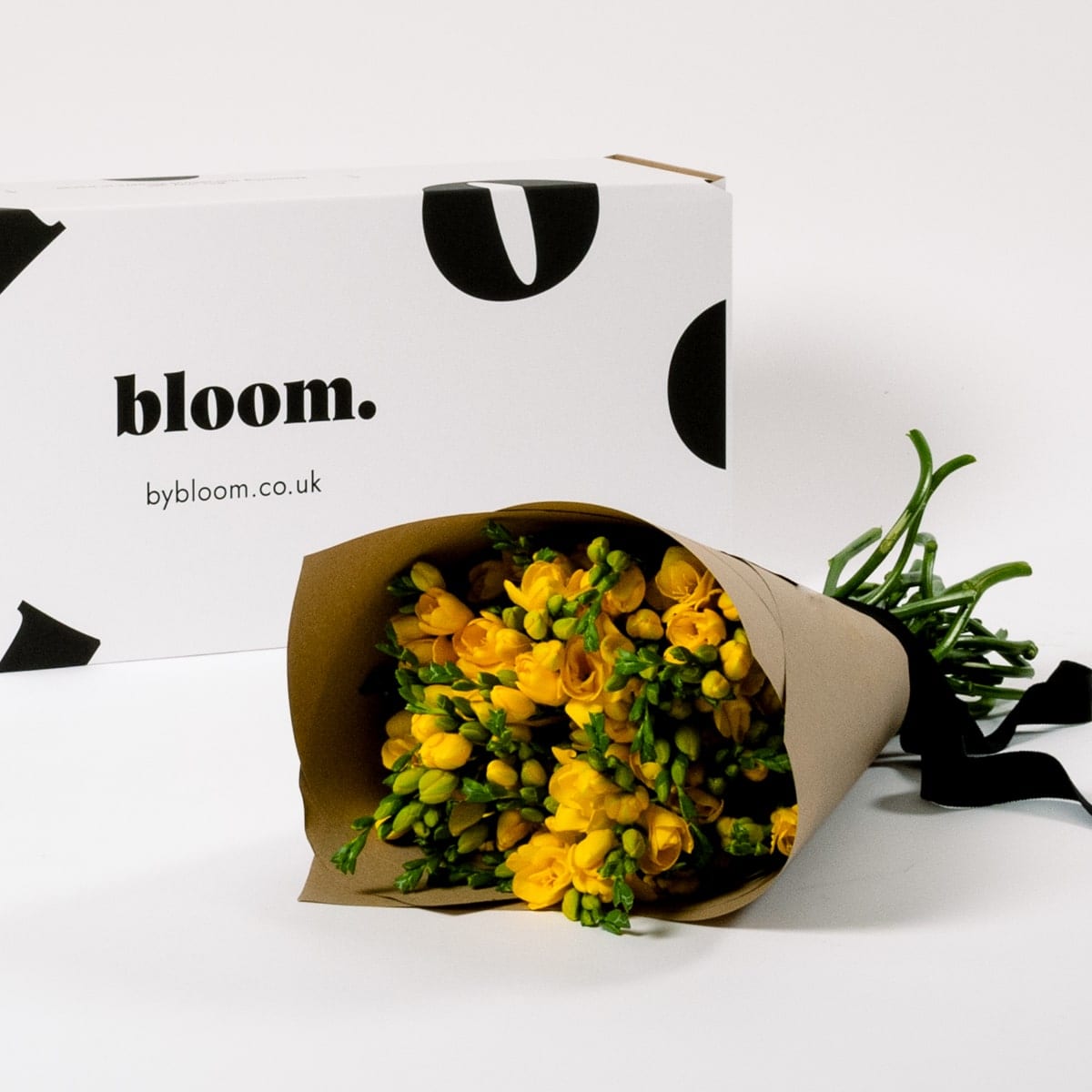 Goldfinch Yellow Freesia