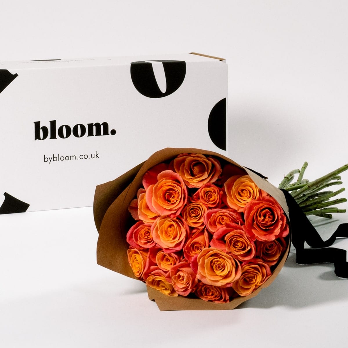 Coral Sunset Roses