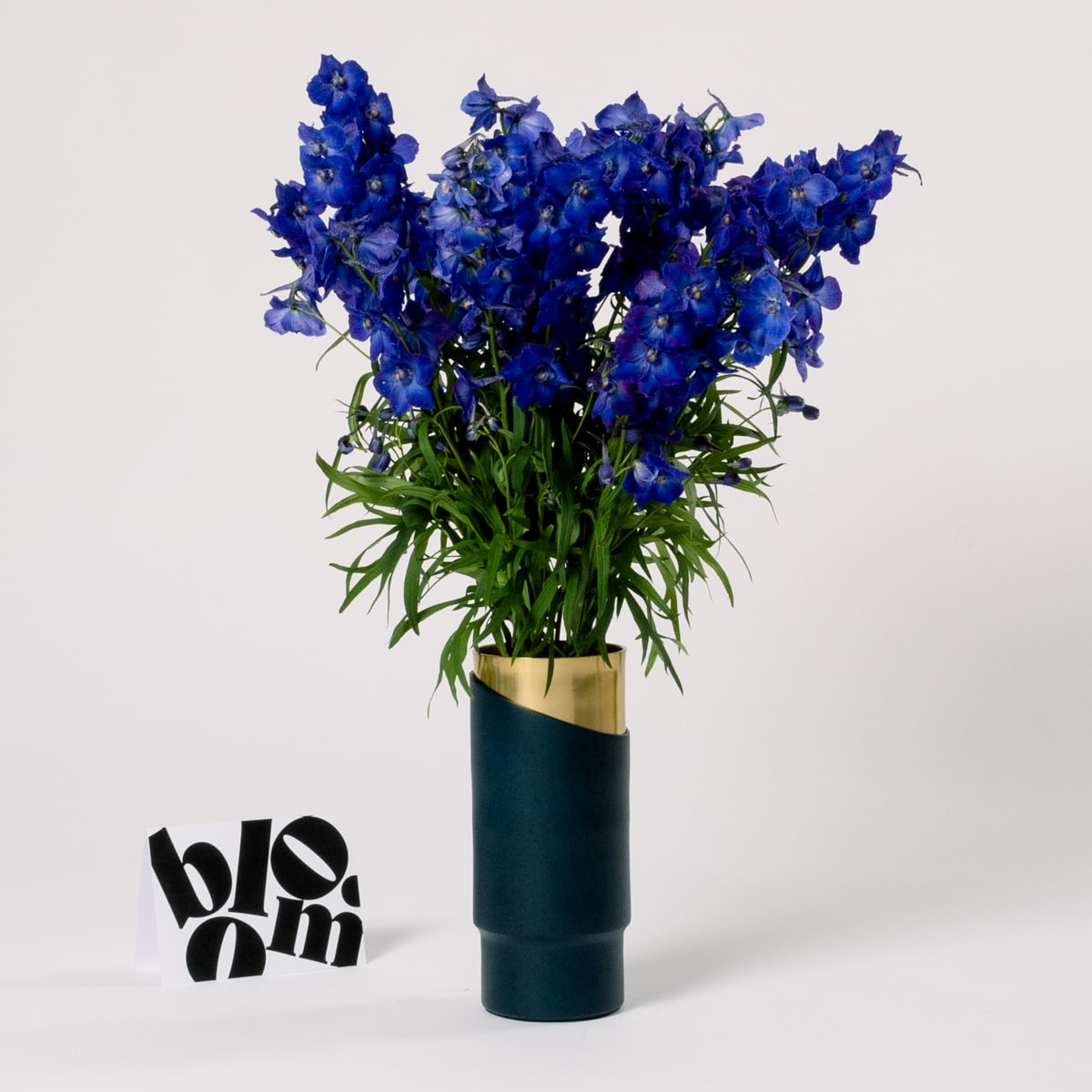 Ultra Marine Blue Delphinium