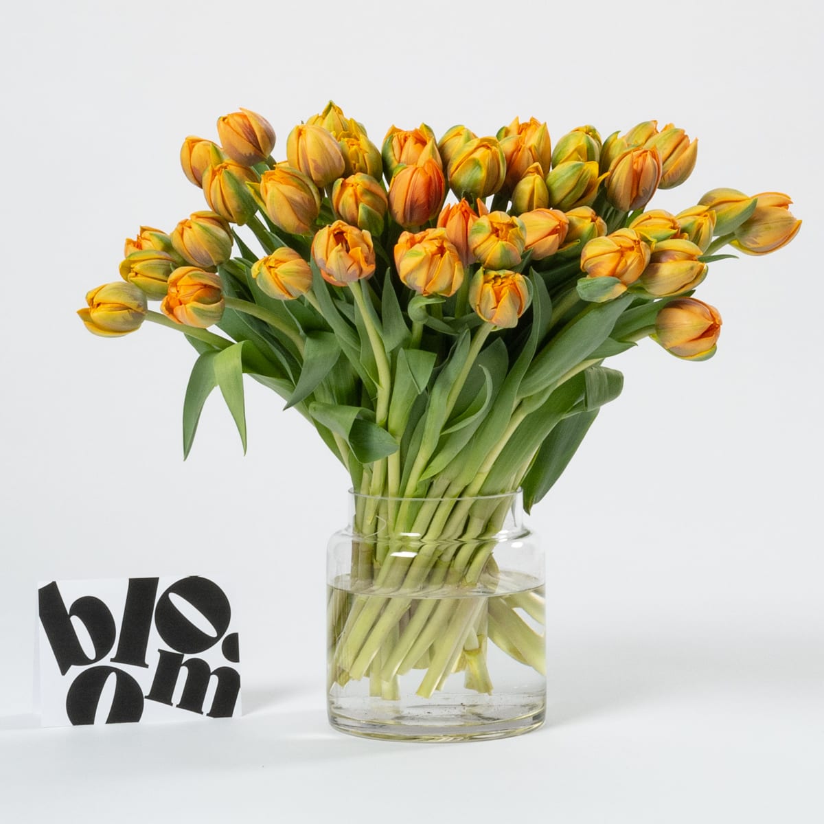 Tangerine Tulips