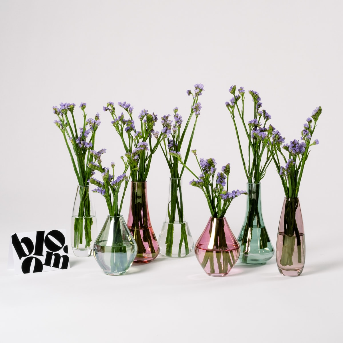 Lilac Limonium