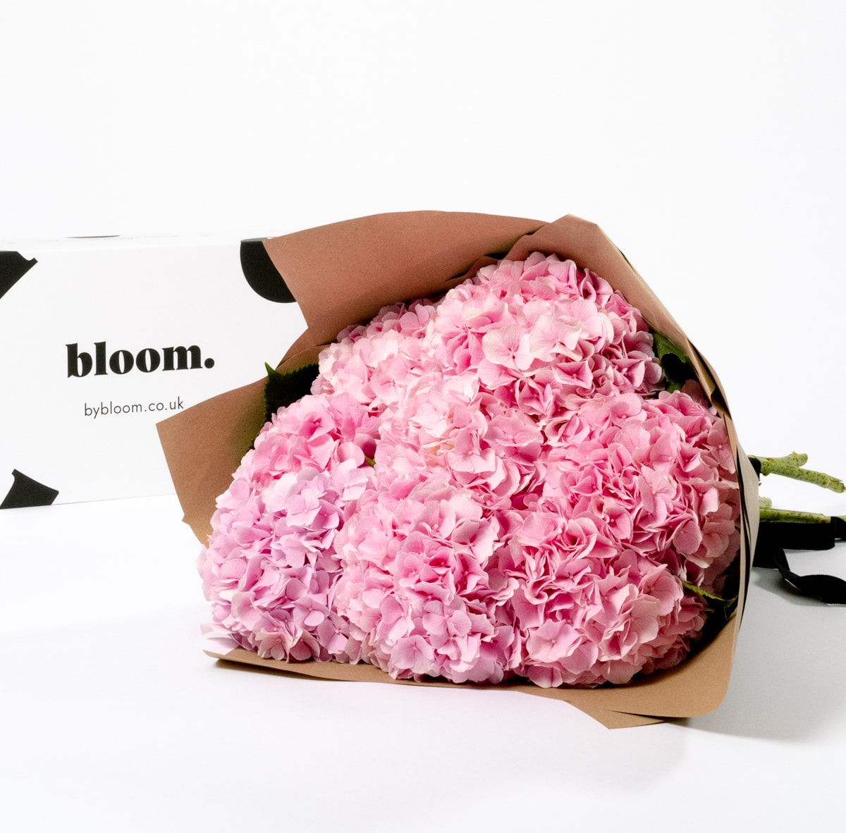 Ballet Slipper Pink Hydrangea