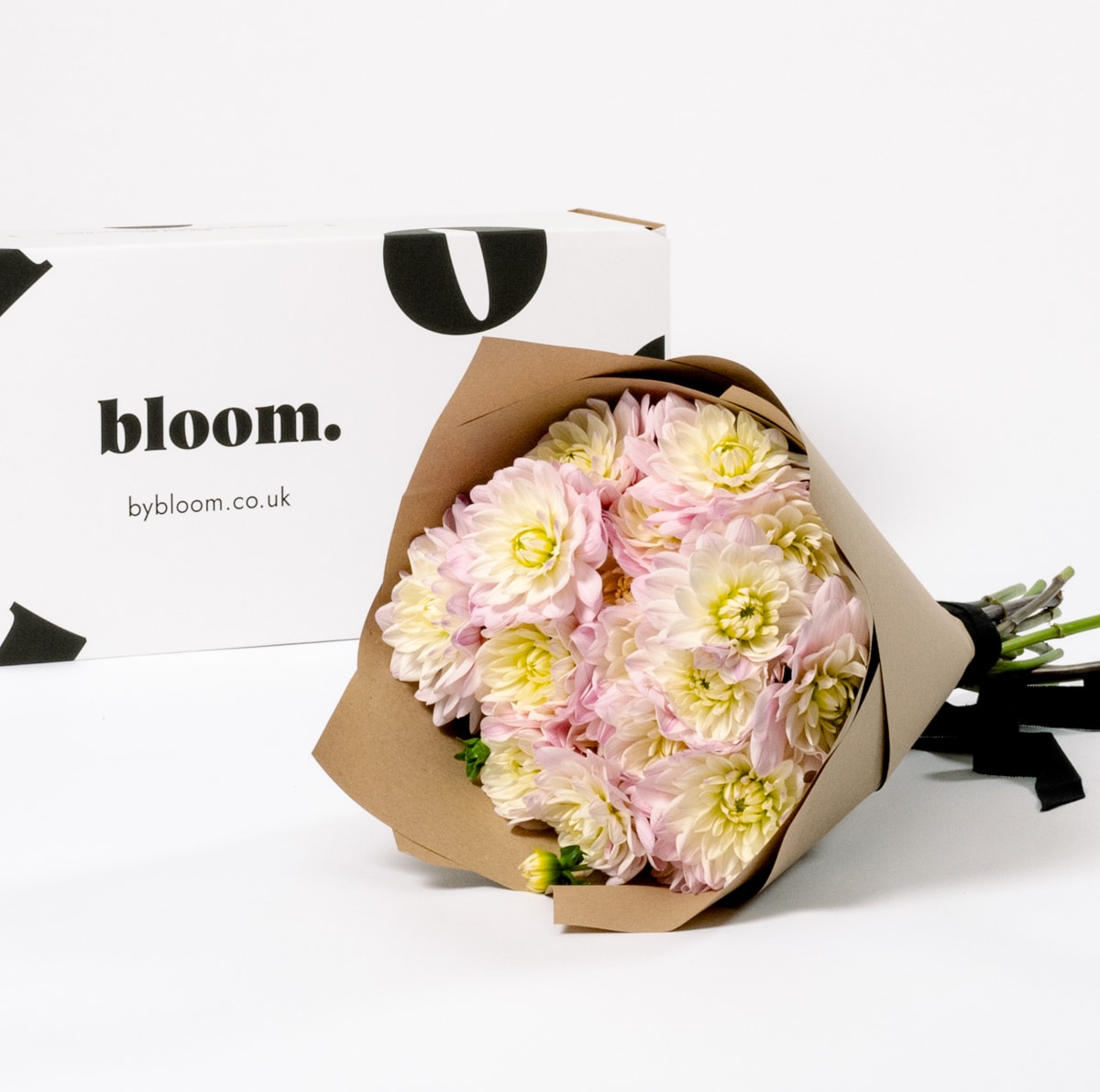 Ballet Slipper Pink Dahlia