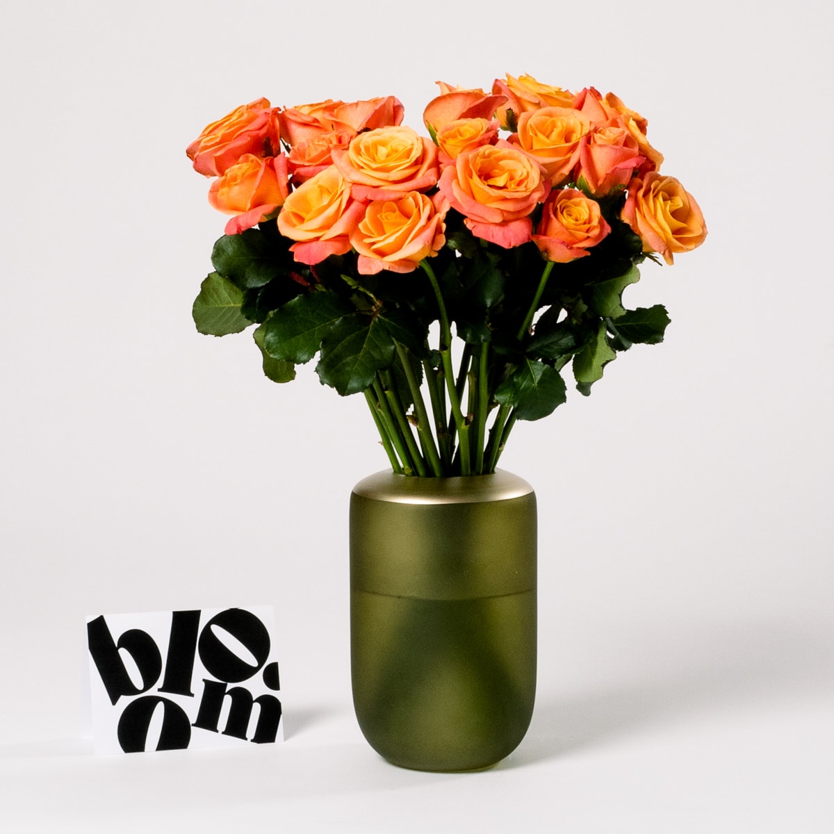 Coral Sunset Roses