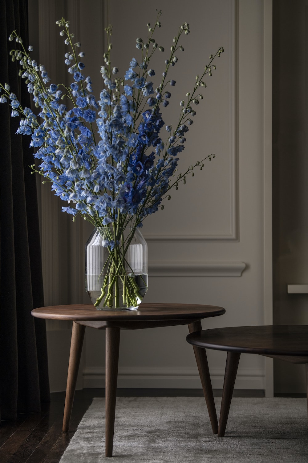 Glacier Blue Delphinium