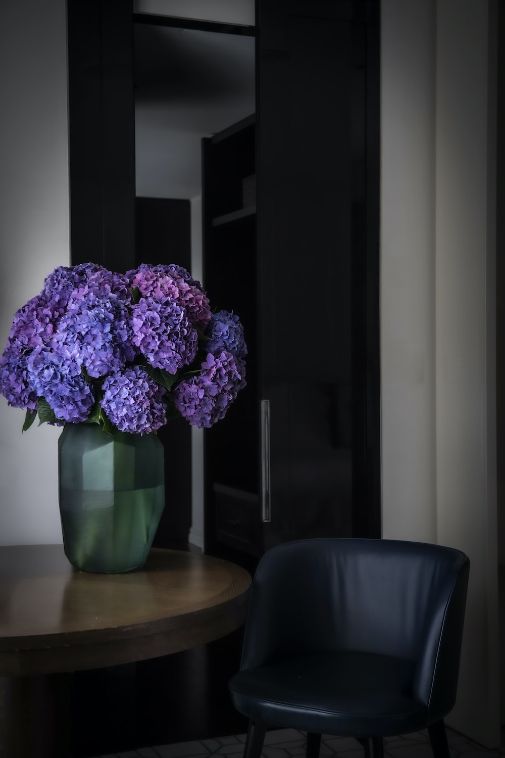 Purple Rodeo Hydrangea