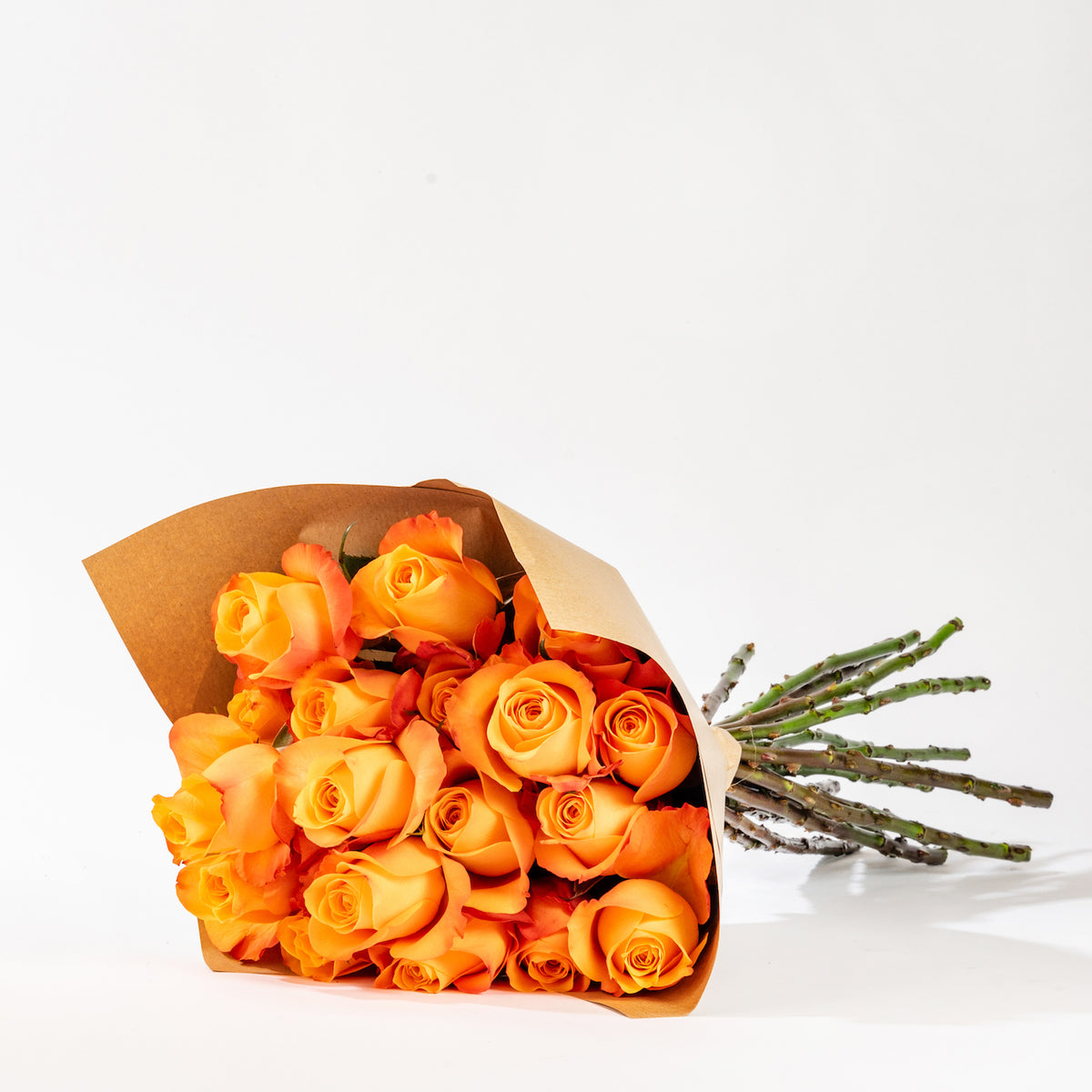 Arizona Sunset Roses