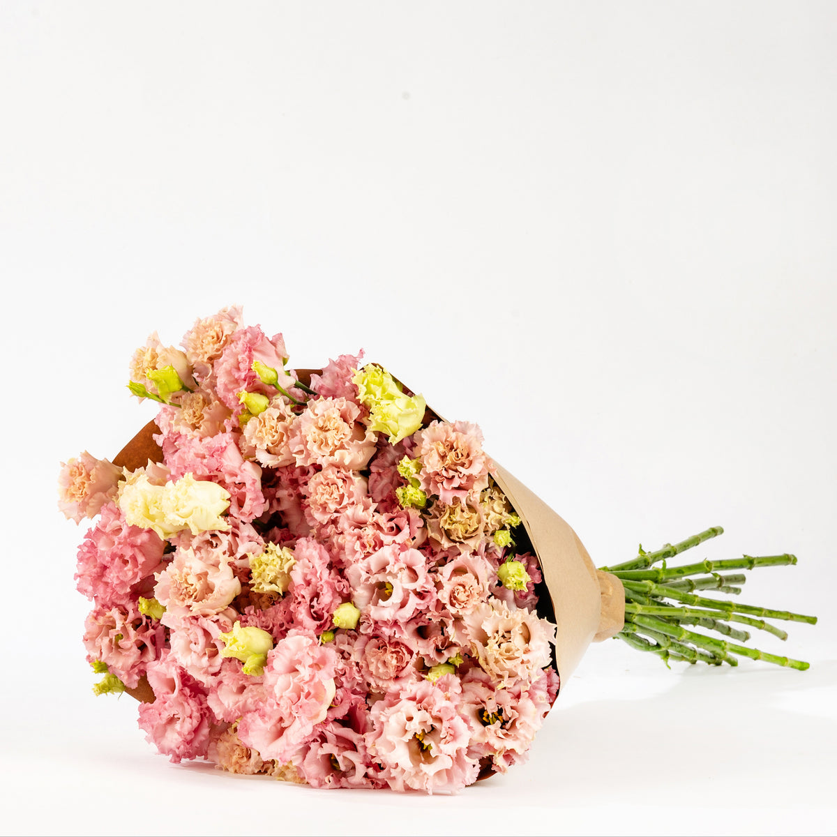 Dusky Pink Lisianthus