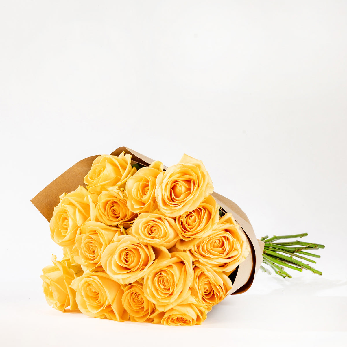 Golden Sunbeam Yellow Roses