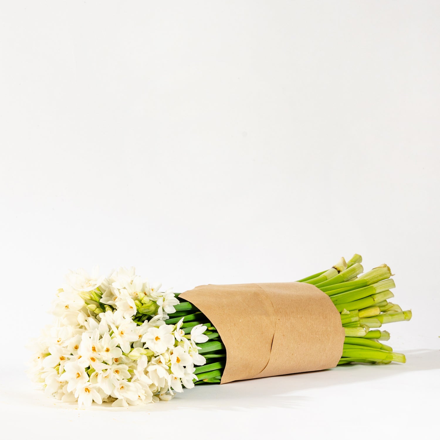 Silk White Paperwhites