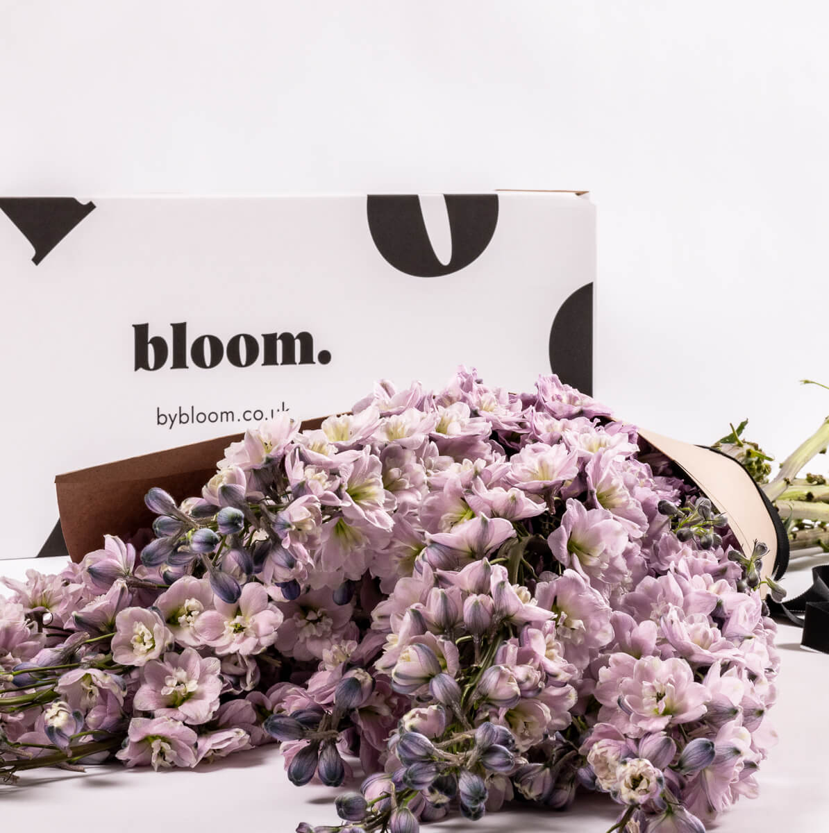 Lilac Delphinium