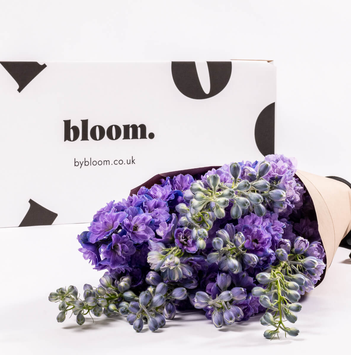 Purple Velvet Delphinium
