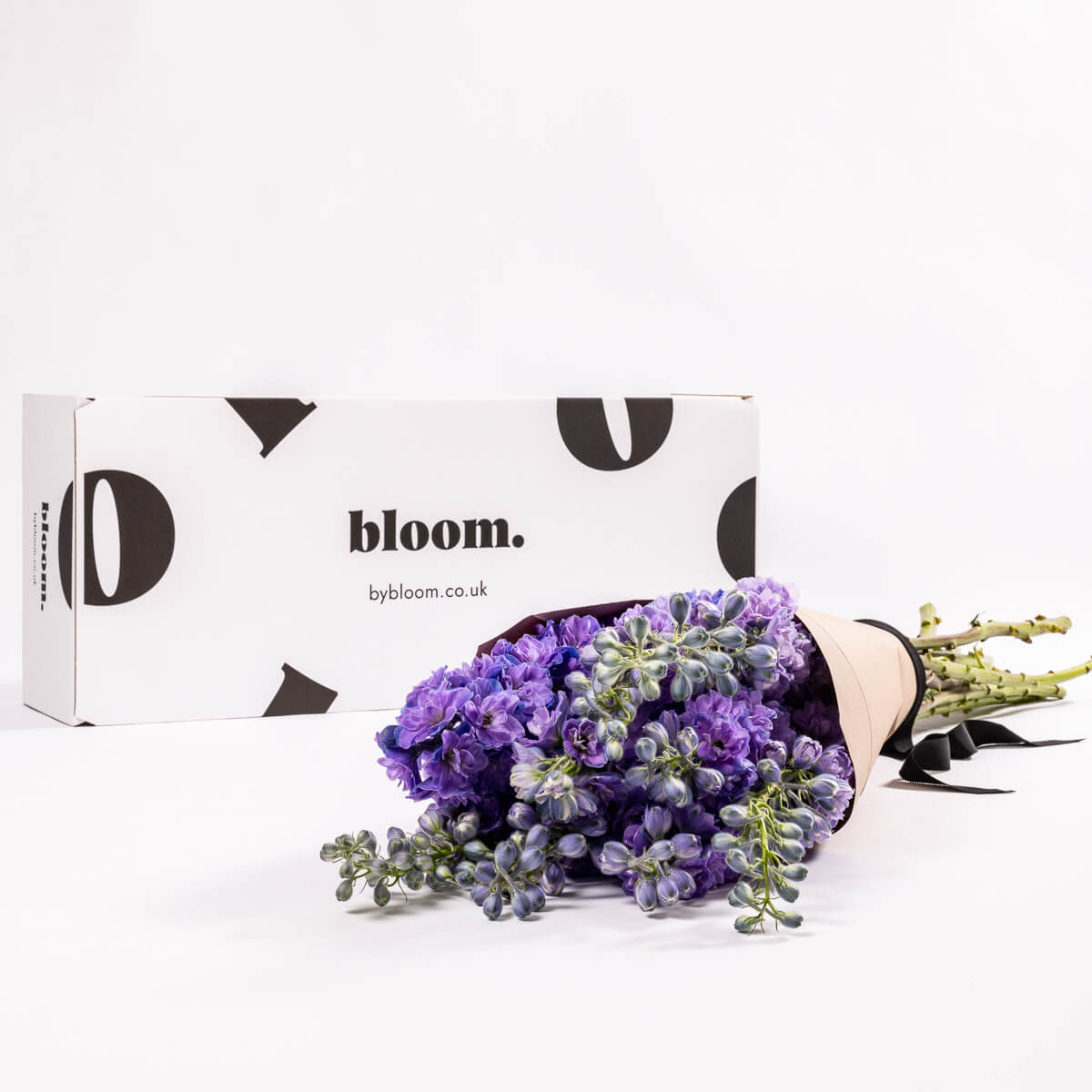 Purple Velvet Delphinium