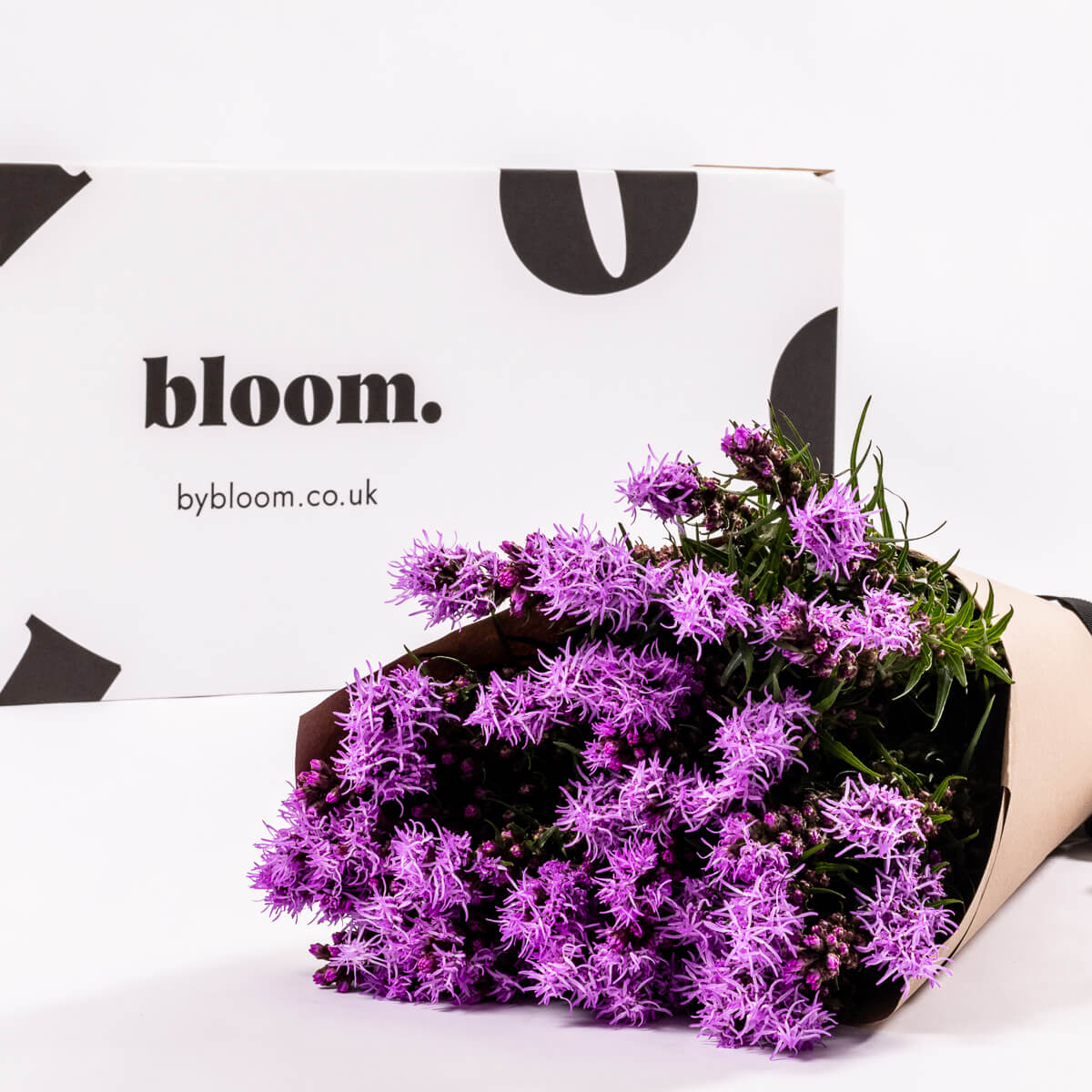 Purple Liatris