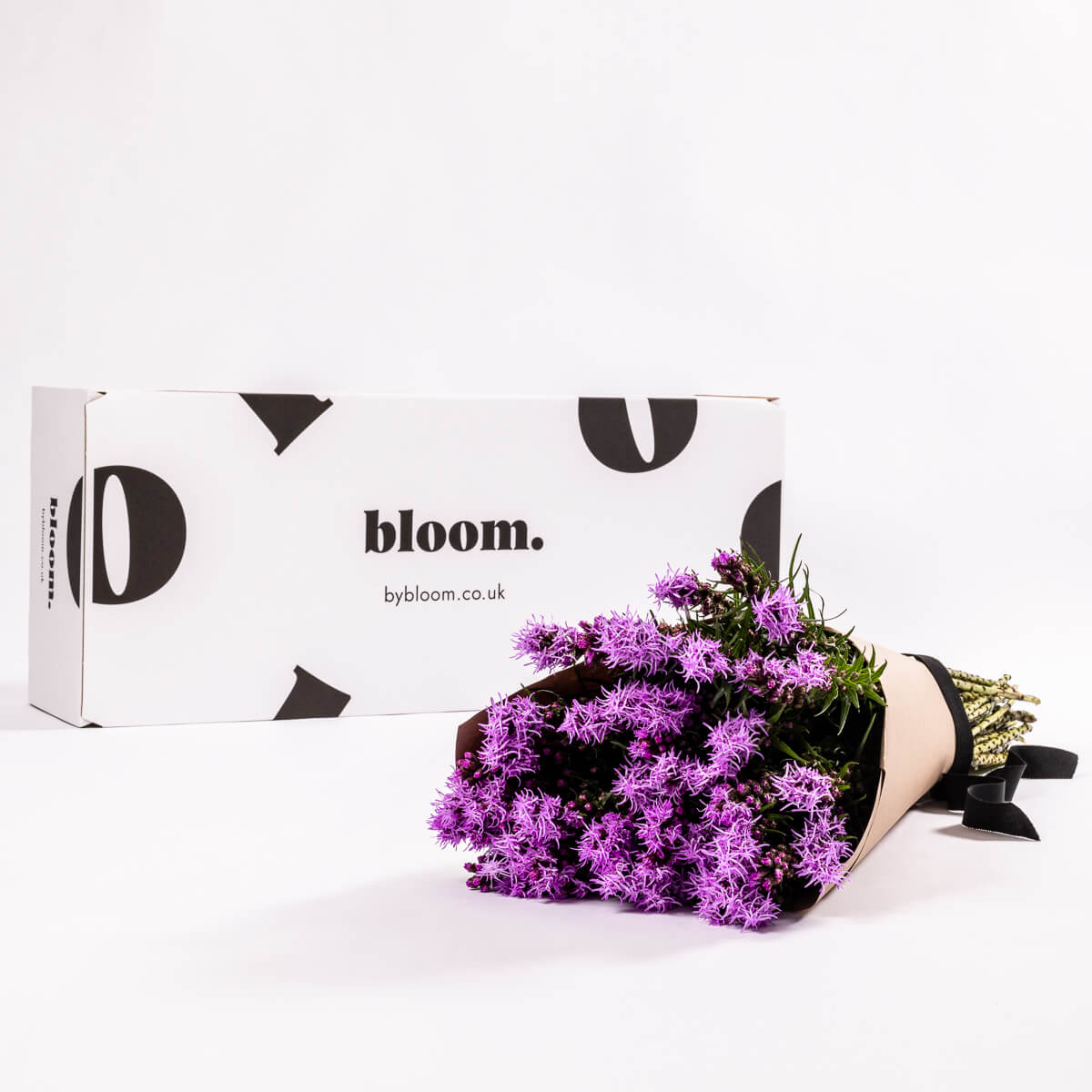 Purple Liatris