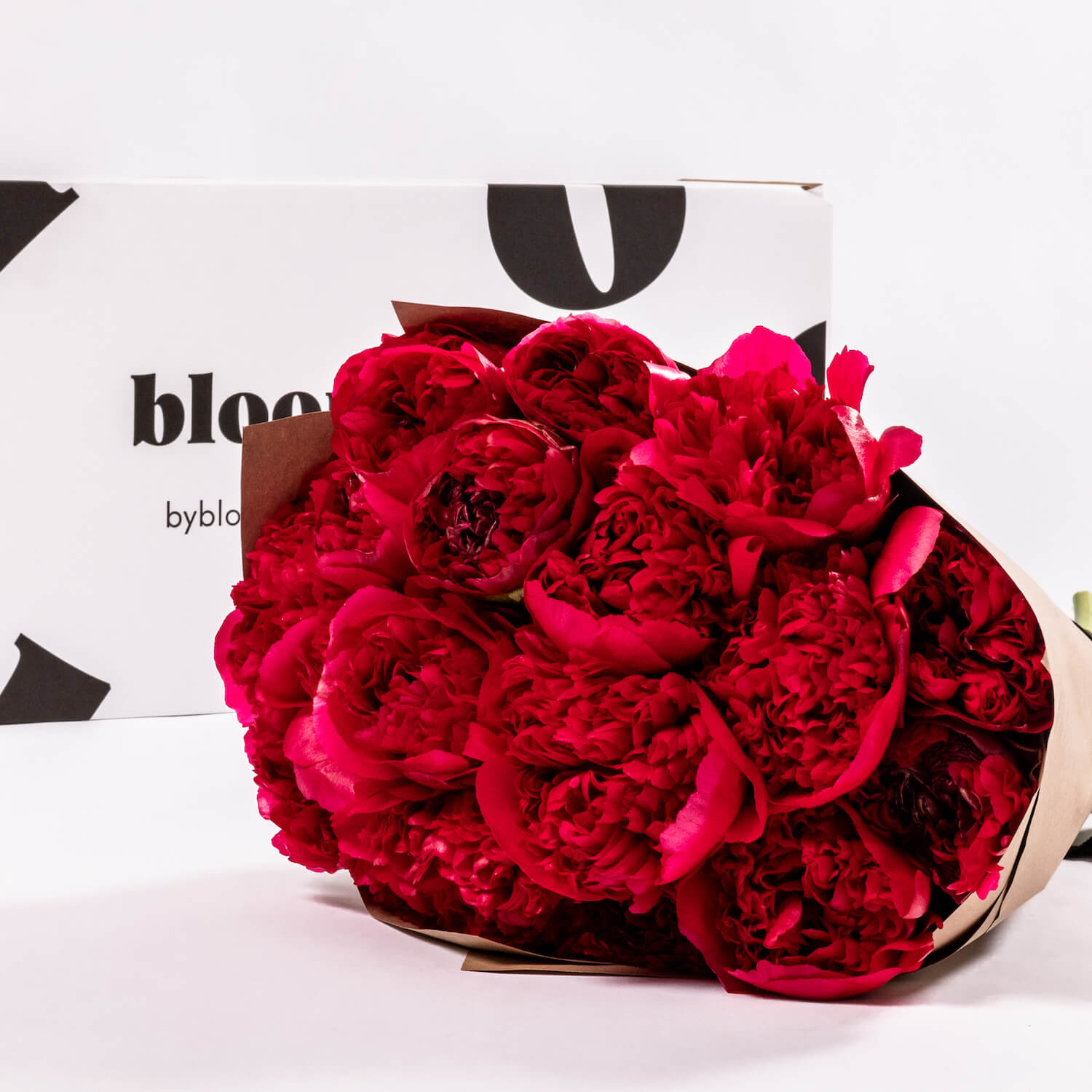 Charm Peony