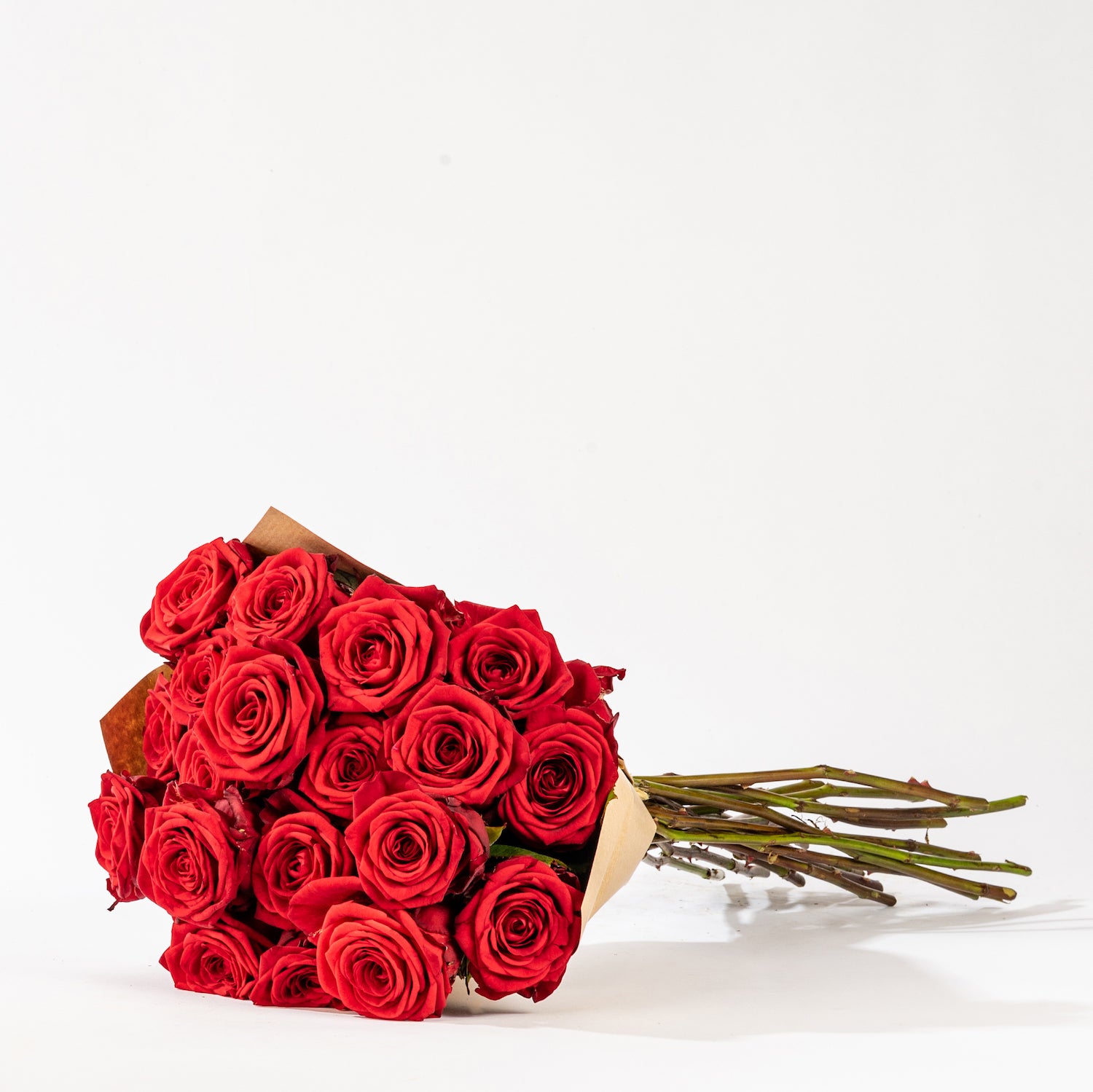By Bloom