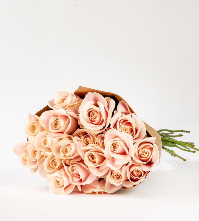 Bloom Premium Roses My Account | Bloom | Bestselling Flowers Online UK – By Bloom