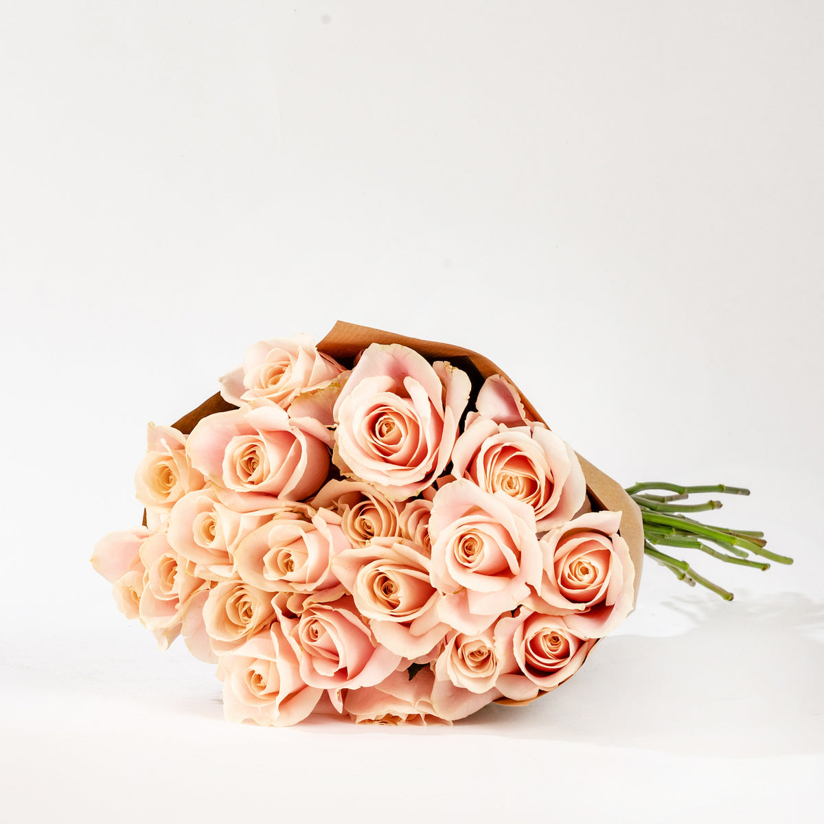 Sweet Avalanche Roses