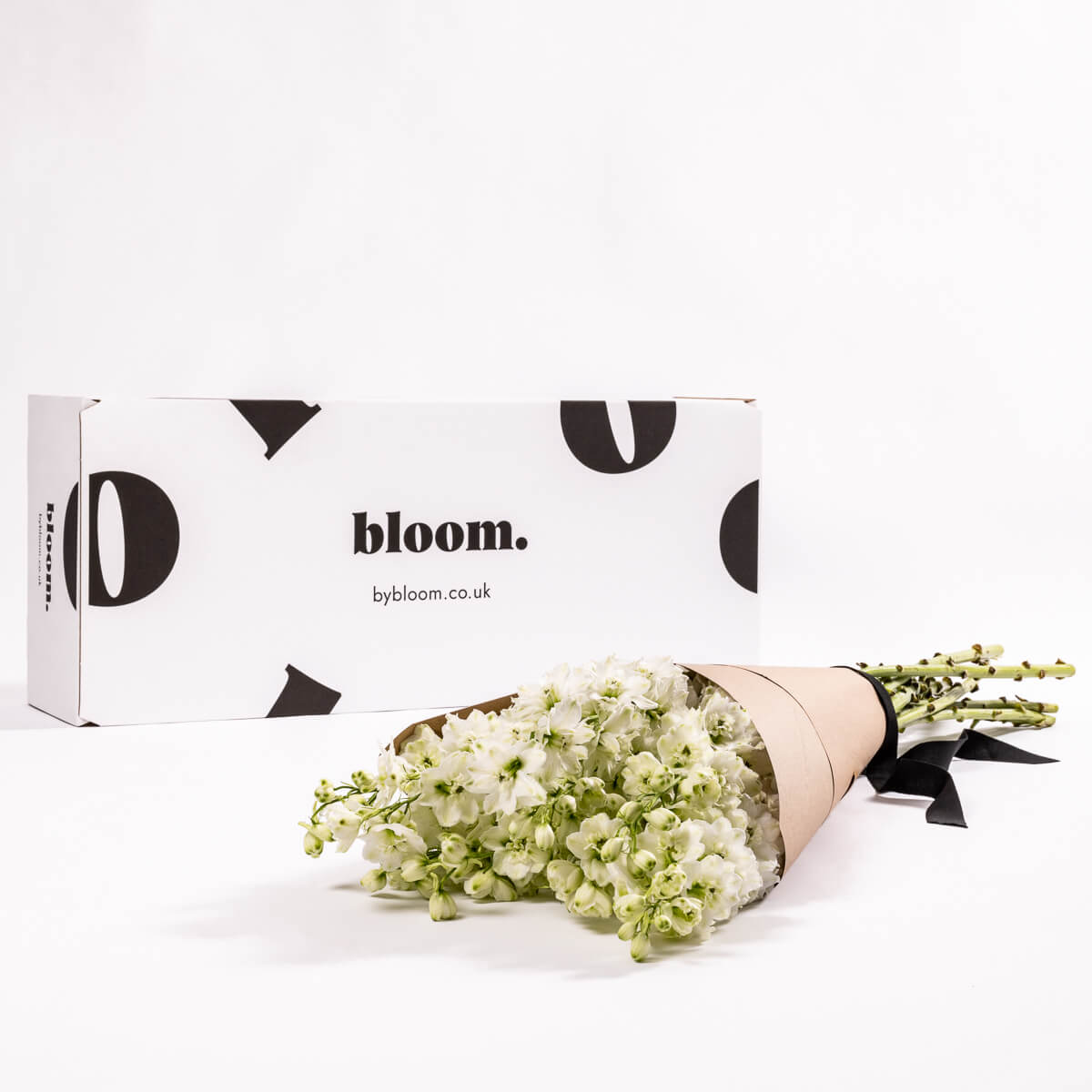 Porcelain White Delphinium