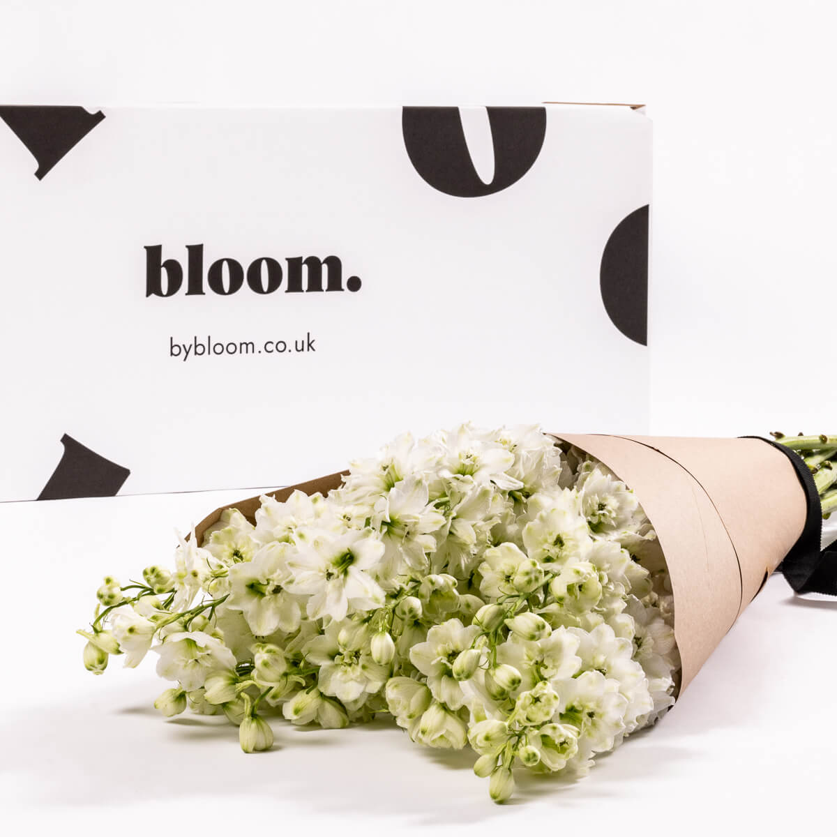 Porcelain White Delphinium